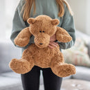 Boyds Bears 'Sir Snugglepaws' Plush Soft Bear - 36cm