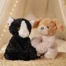Charlie the Dog Softie - Brown & Cream Plush Toy in Optional Gift Box (26cm)