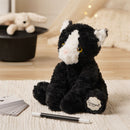 Crumpet The Cat Softie - Black & White Plush Toy in Optional Gift Box (26cm)