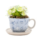 Disney Alice in Wonderland Teacup Planter with Faux Plant in Branded Box