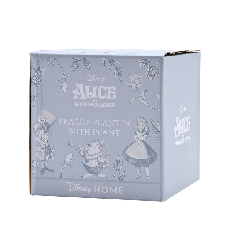 Disney Alice in Wonderland Teacup Planter with Faux Plant in Branded Box