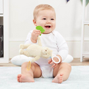 Disney Classic Winnie the Pooh On-The-Go Plush Activity Toy