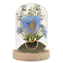 Disney Pastel Princess Cinderella 'Dreams Came True' Florals in a Cloche with Neon Light