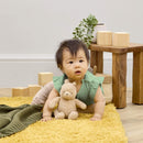 Disney Winnie the Pooh 100 Years Collector's Bundle