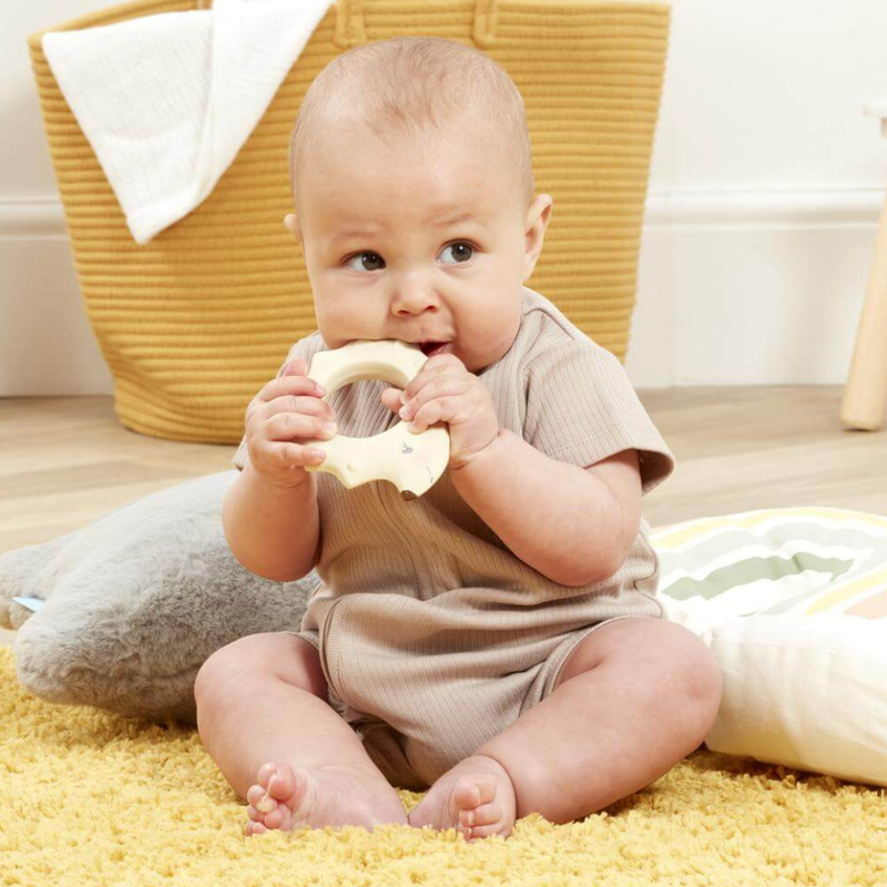 Tikiri Ethan the Hedgehog Baby-Safe Organic Natural Rubber Teether