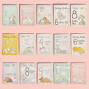 Disney Baby Magical Beginnings 30 Milestone Cards