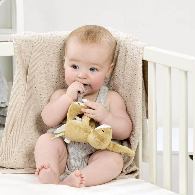Guess How Much I Love You Little Nutbrown Hare with Silicone Teether