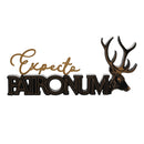 PRE-ORDER Harry Potter Alumni 'Patronum' Spell Sign