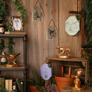 Harry Potter Herbology Arch Glass Plaque - Aragog