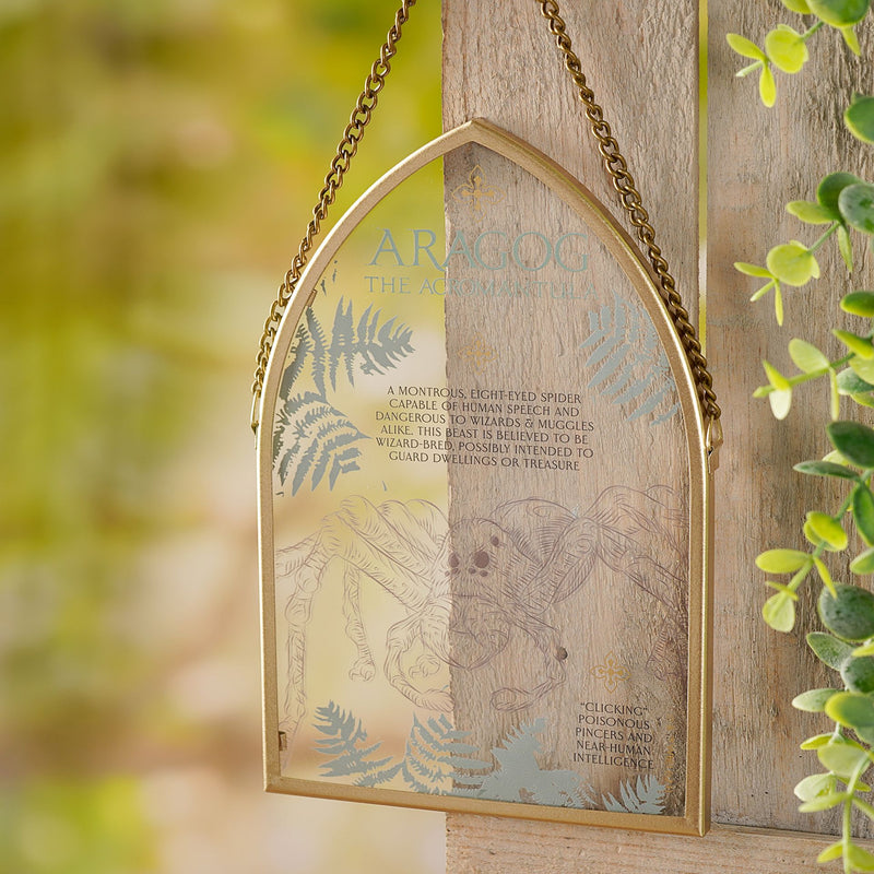 Harry Potter Herbology Arch Glass Plaque - Aragog