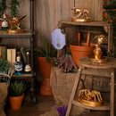 Harry Potter Herbology Polyjuice Plaque