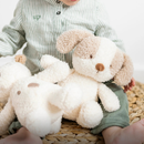 Nattou Beige Teddy Cuddly Baby Dog – 23cm