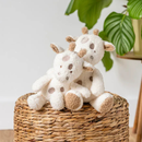 Nattou Beige Teddy Cuddly Baby Giraffe – 25cm