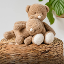 Nattou Brown Teddy Cuddly Baby Bear – 22cm