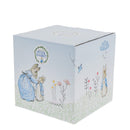Peter Rabbit New Baby Money Bank