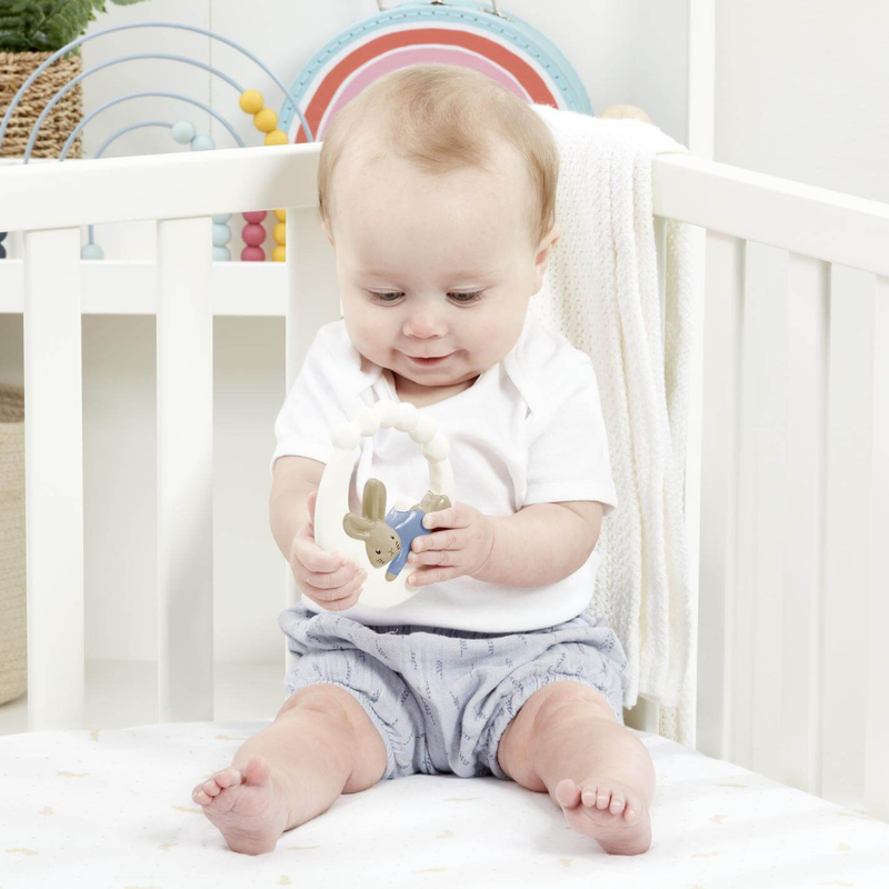 Peter Rabbit Signature Rubber Teether