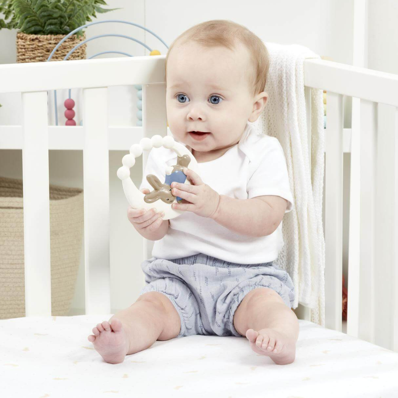 Peter Rabbit Signature Rubber Teether