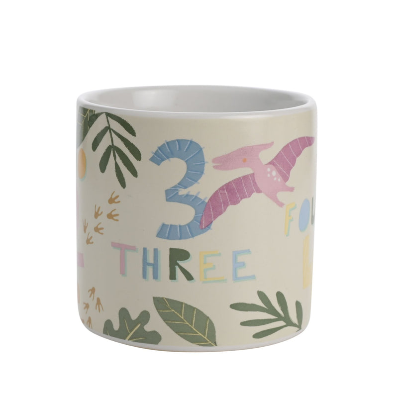IMPERFECT Petit Cheri Dinosaur Numbers Boxed Mug