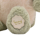 Tommy The Dinosaur Softie - Green Plush Toy in Optional Gift Box (30cm)