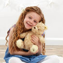 Disney Winnie the Pooh Classic Cuddly Hundred Acre Wood Soft Toy - 26cm