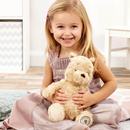 Disney Winnie the Pooh Classic Cuddly Hundred Acre Wood Soft Toy - 26cm