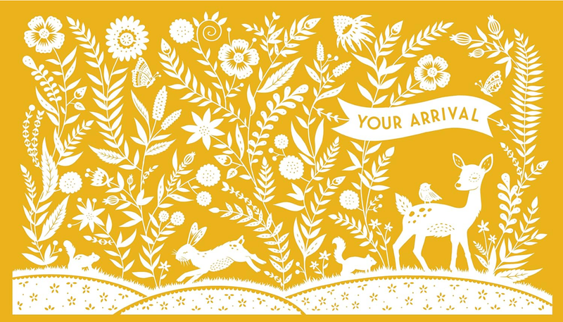 My Baby's Book: A Premium Keepsake Baby Journal From Birth to Early Childhood