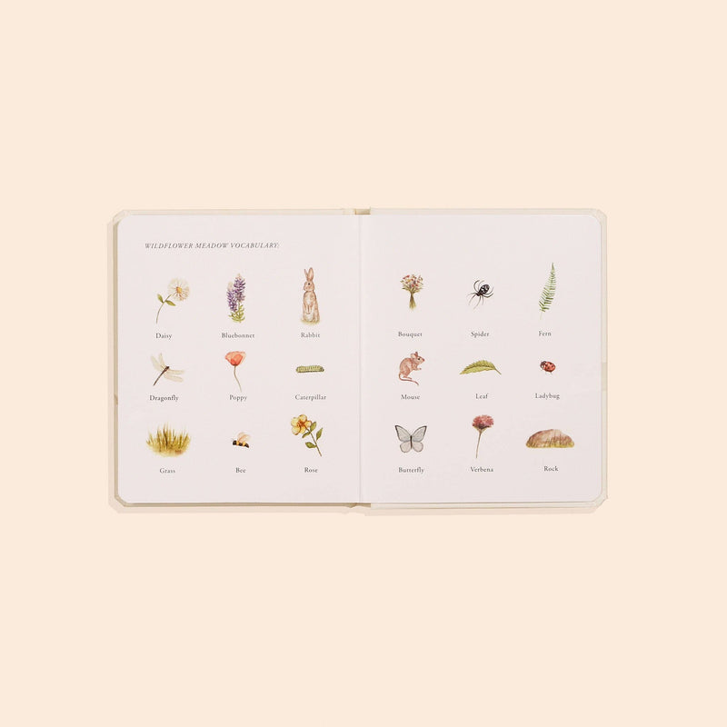 'Our Little Adventures' 3 Board Book Box Set for Children