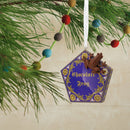 Harry Potter Chocolate Frog & Box Christmas Ornament