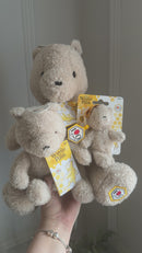 Disney Winnie the Pooh 100 Years Collector's Bundle