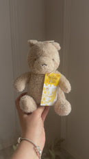 Disney Winnie the Pooh 100 Years Small Commemorative Plush Soft Toy – 19cm Anniversary Bear