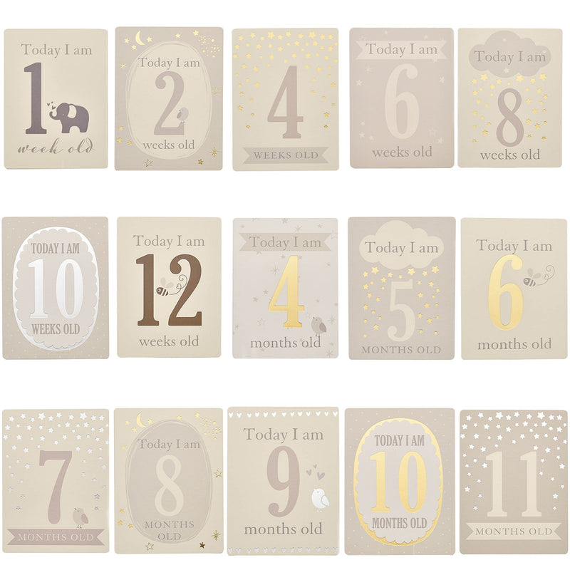 PRE-ORDER Bambino Little Star Baby Milestone Cards with Foil
