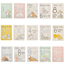 Disney Baby Magical Beginnings 30 Milestone Cards