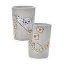 Harry Potter Charms 5-Piece Melamine Gift Boxed Dining Set